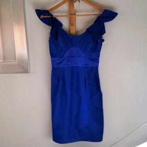 Catherine Malandrino, blue silk dress, size 2
